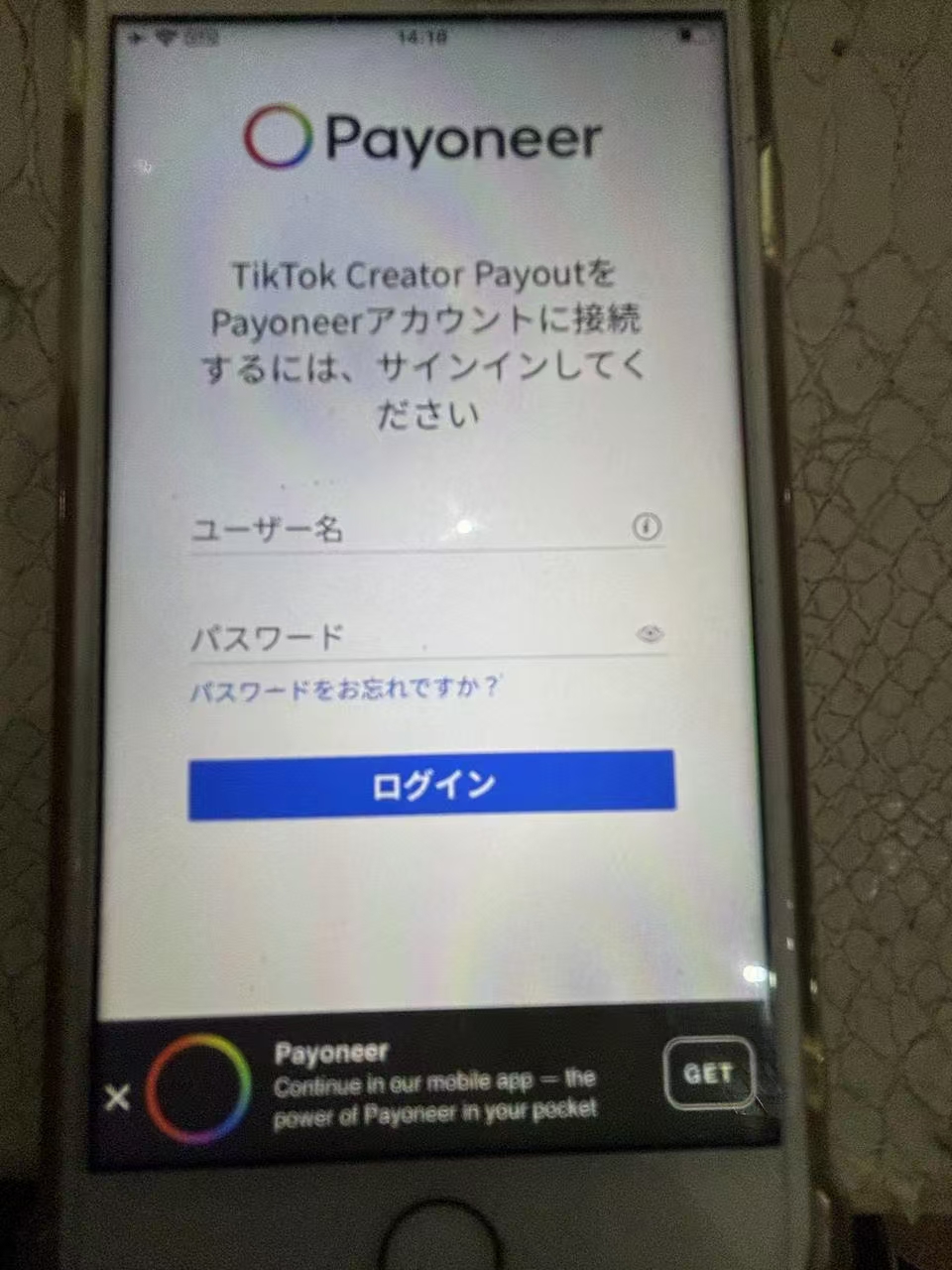 微信图片_20240824093503
