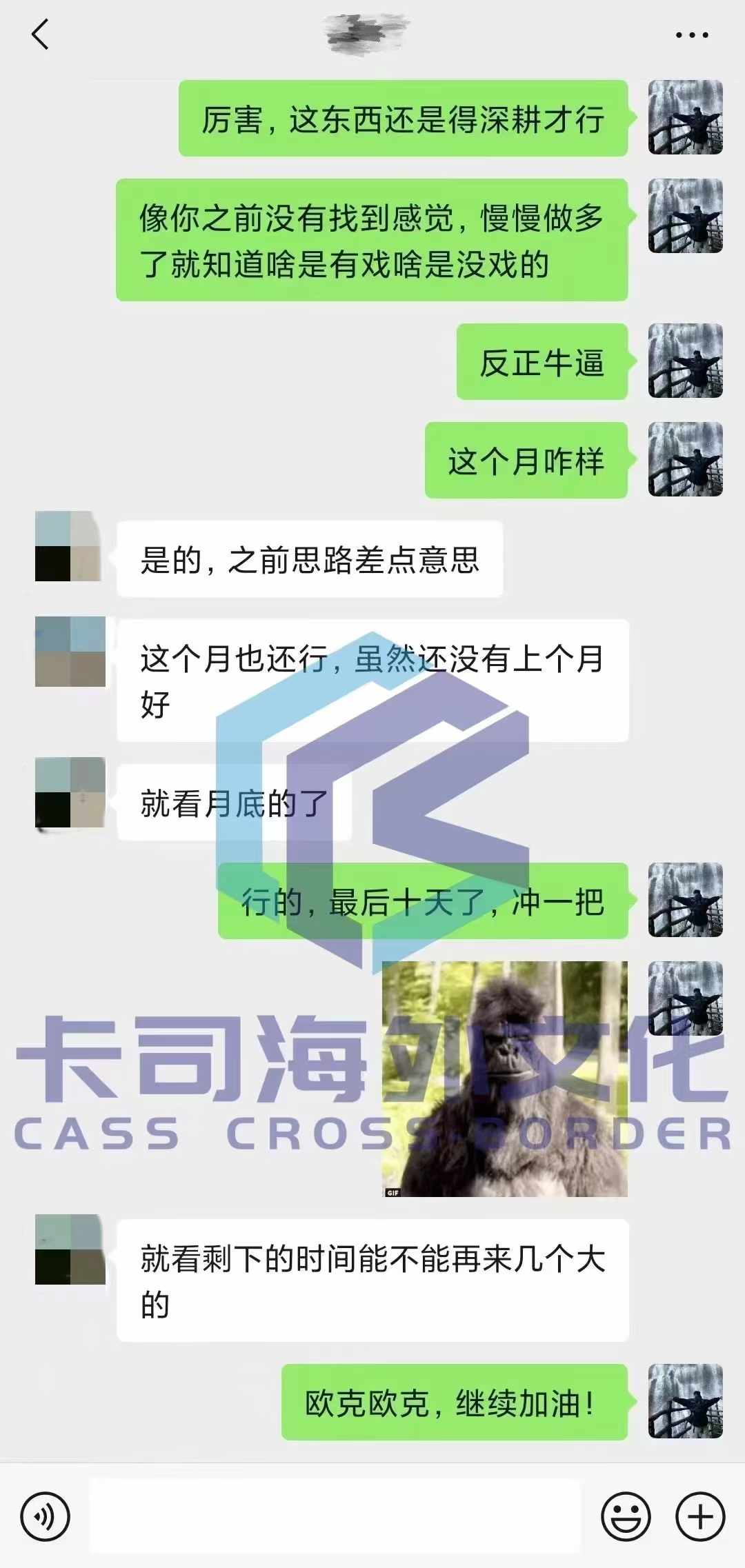 微信图片_20241121201328