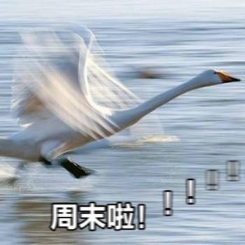 微信图片_20250519114523