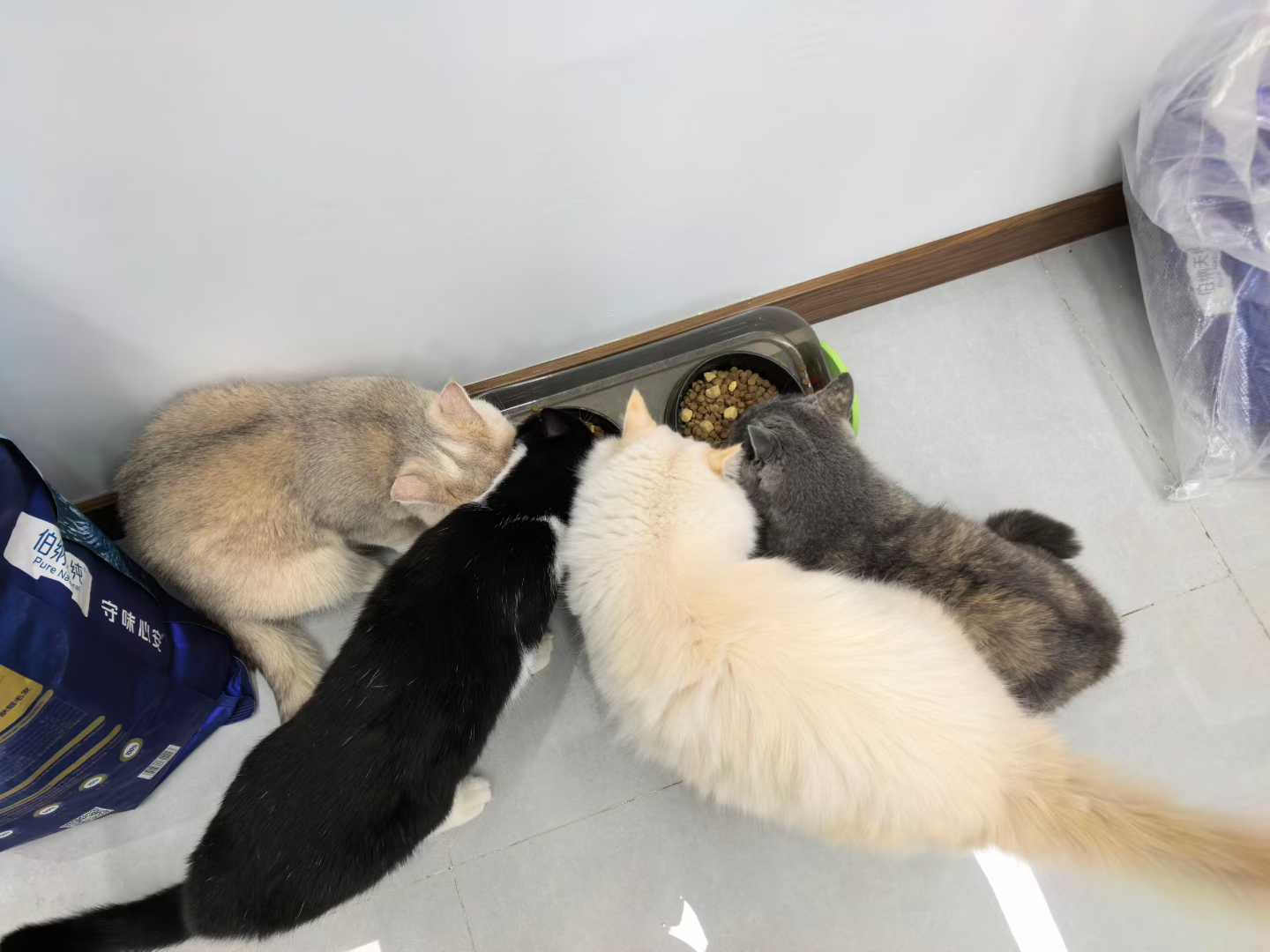 77fec922e5d35fd4715f2238a2cf3492