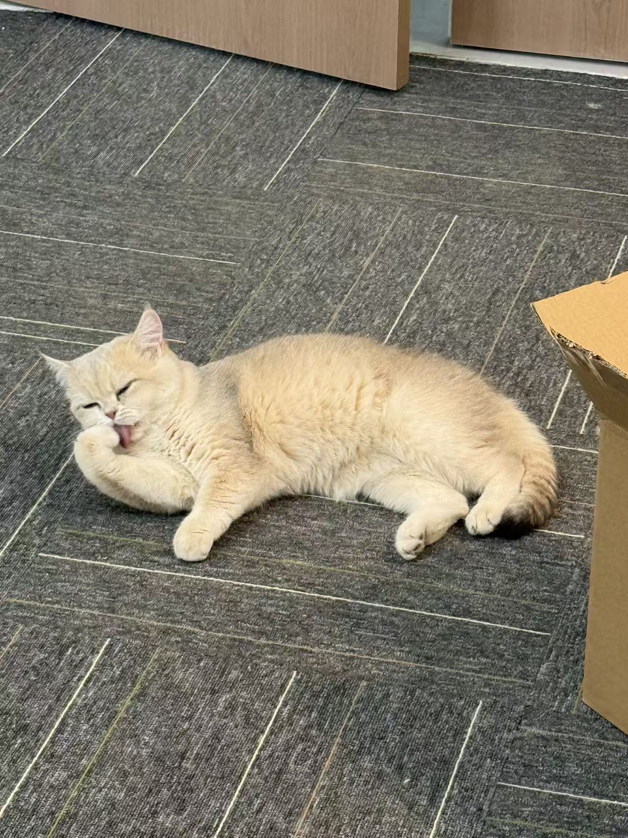 249b40e92cc4115c6ff631167928ce0d