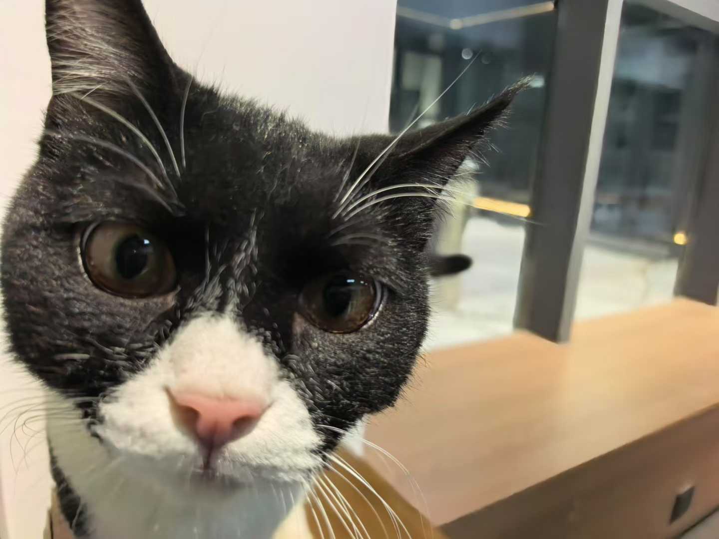 e648829765103ecbcb179f437a2ffdbf