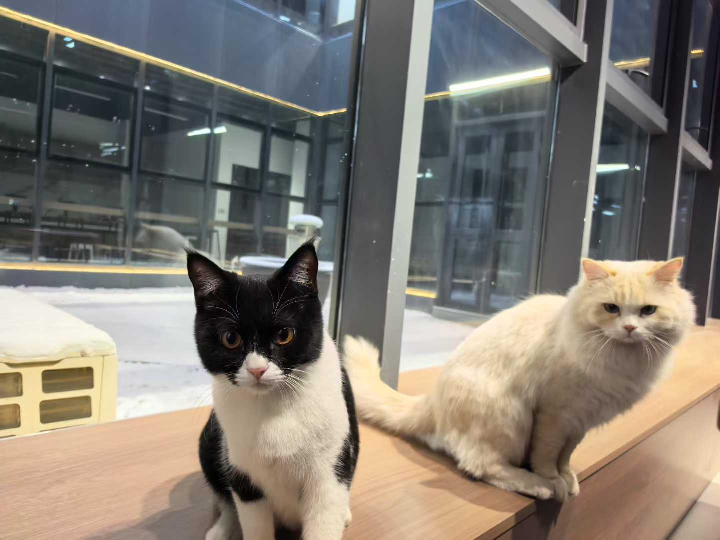 711707947ddd952db013df5dcc87947e