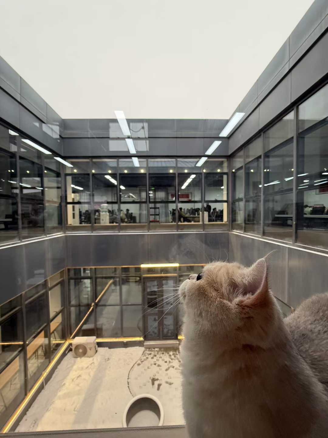 f7a7476165a1197d2e8c93eb8446b692