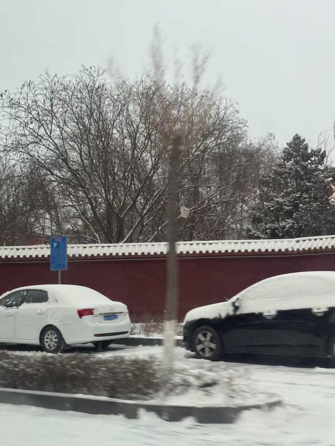 ce6218c36cae7ffa5fc8f11f0bc4f710