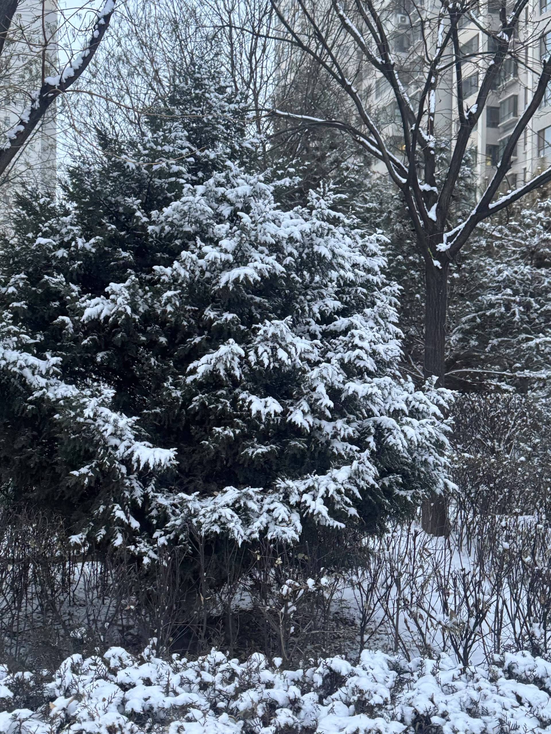 318a07d0b992f1843571a3207e55d46c