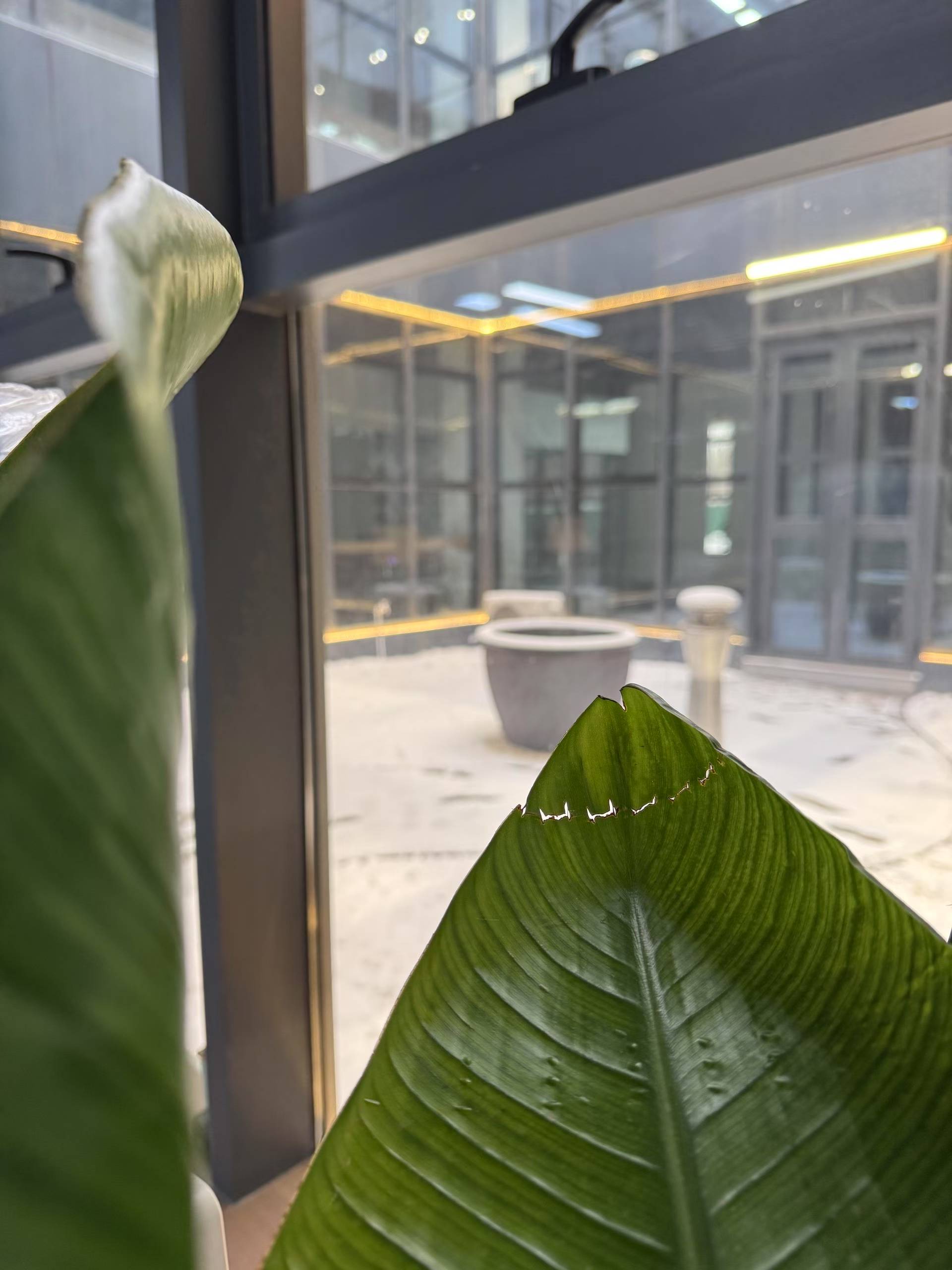 a2f2fdda1bd40c02cc2d609dcfd519c6