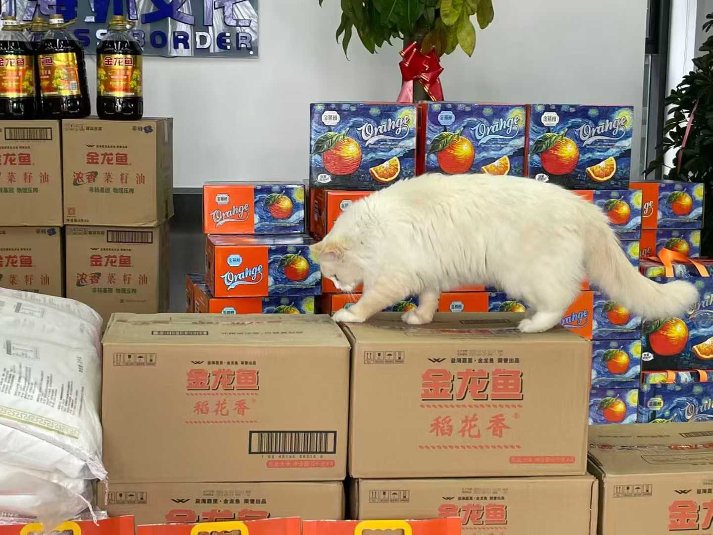 afe609c23cfdee73a166e42c8cd45f2e