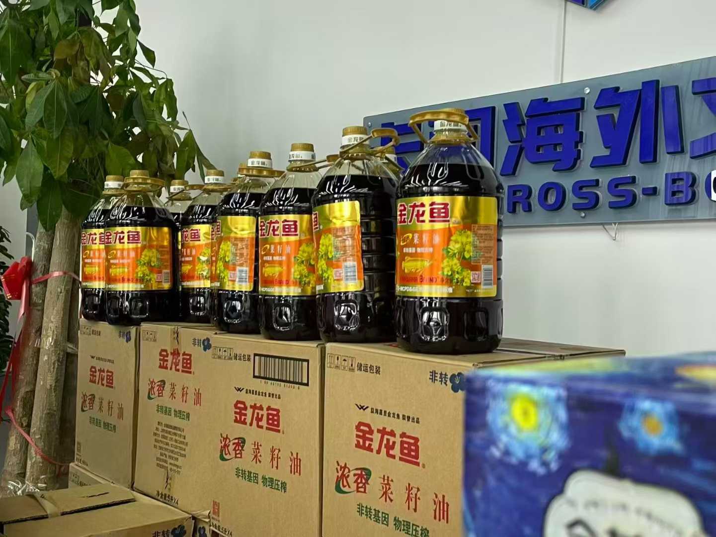 df608a8f43cb9afbc2ab4f59bf715599