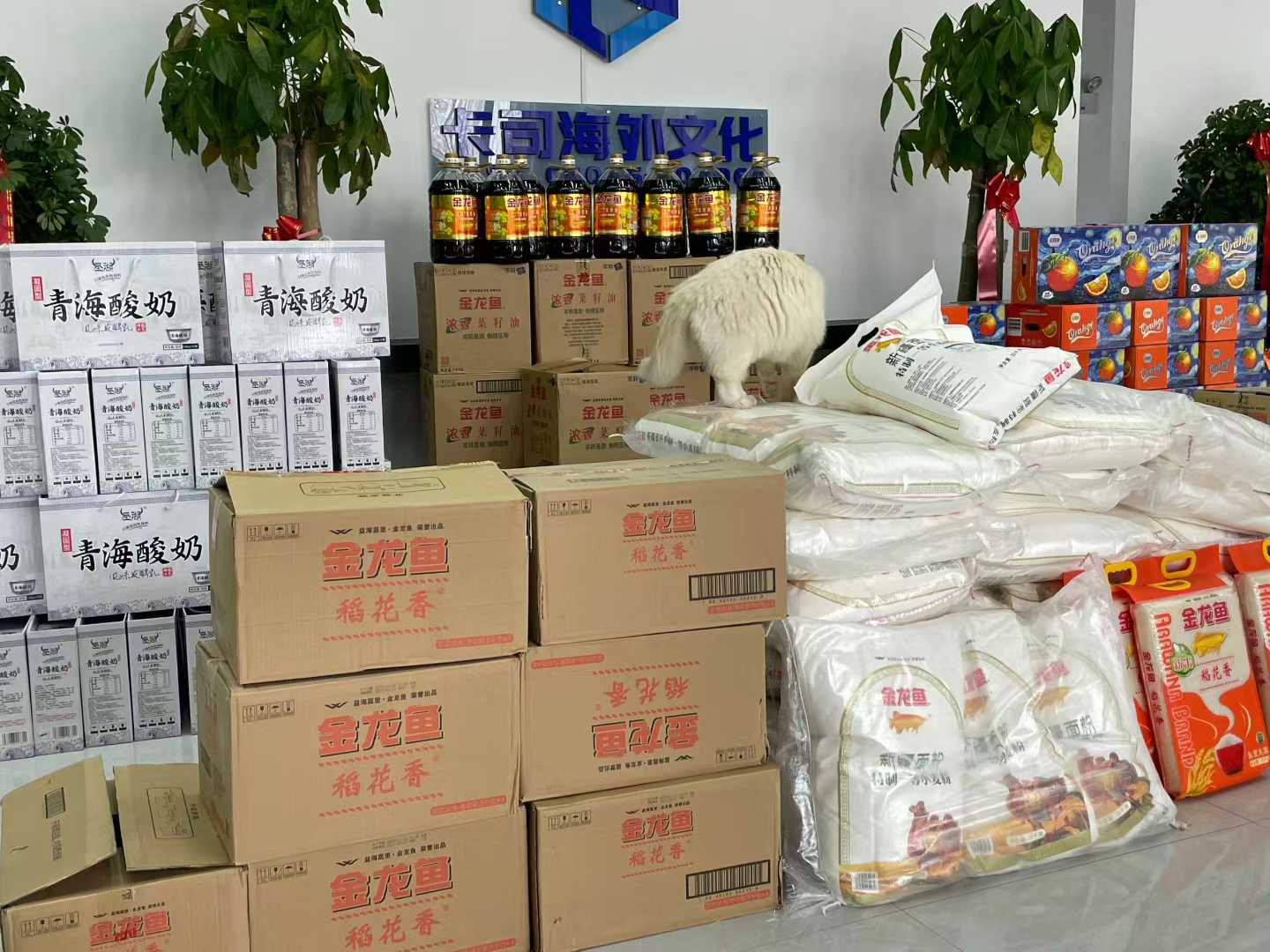 5c9fea8d8d182d2c797ea4cb55af95ed